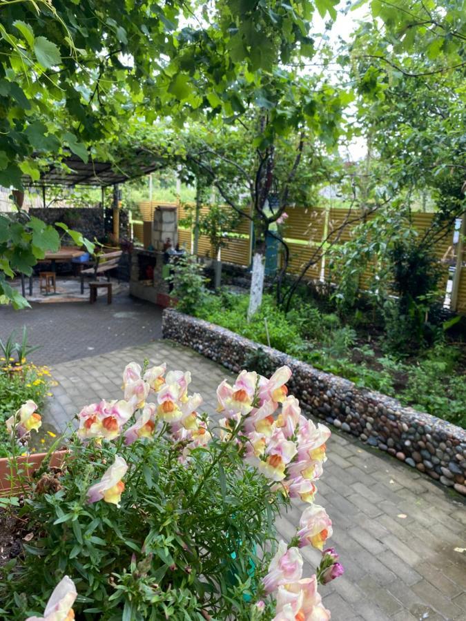 Guest House Mari Ureki Εξωτερικό φωτογραφία