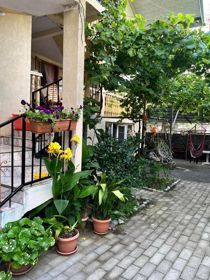 Guest House Mari Ureki Εξωτερικό φωτογραφία